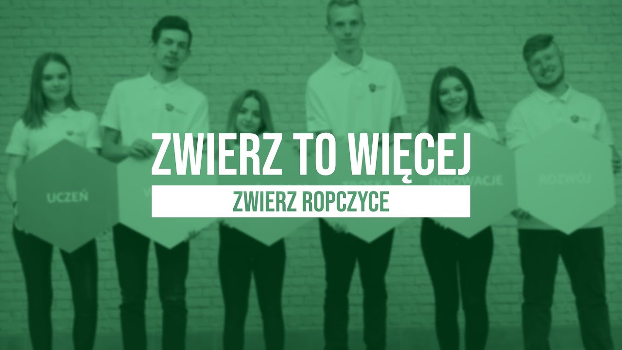 Miniatura filmu: #ZWIERZTOWIĘCEJ